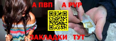 ешки Кингисепп