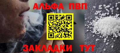 ешки Кингисепп