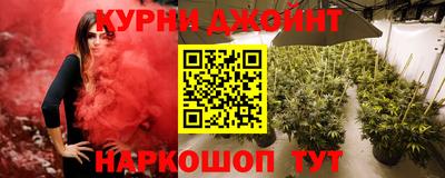 ешки Кингисепп
