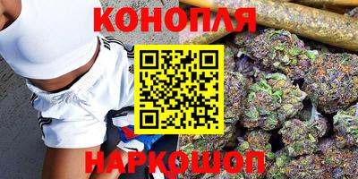 ешки Кингисепп