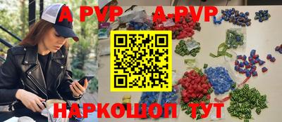 ешки Кингисепп
