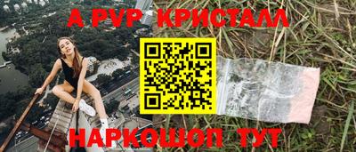 ешки Кингисепп