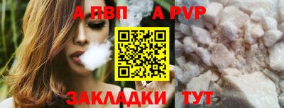 ешки Кингисепп