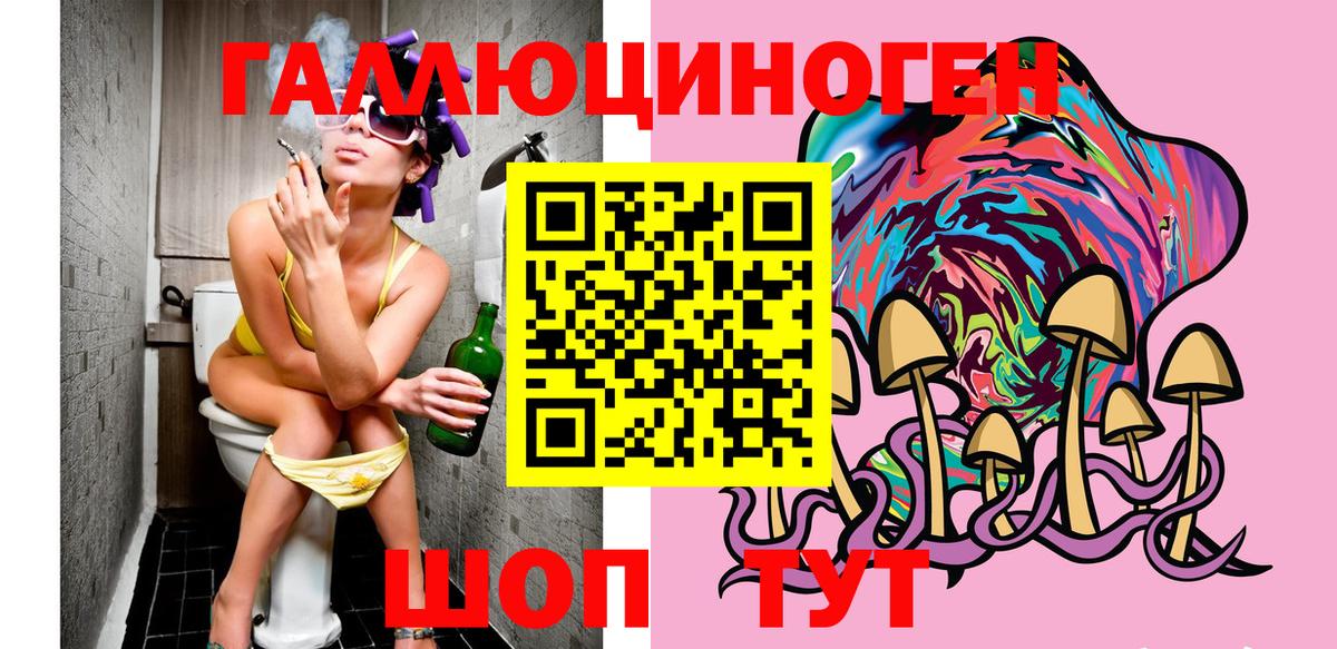 Псилоцибиновые грибы прущие грибы Кудрово